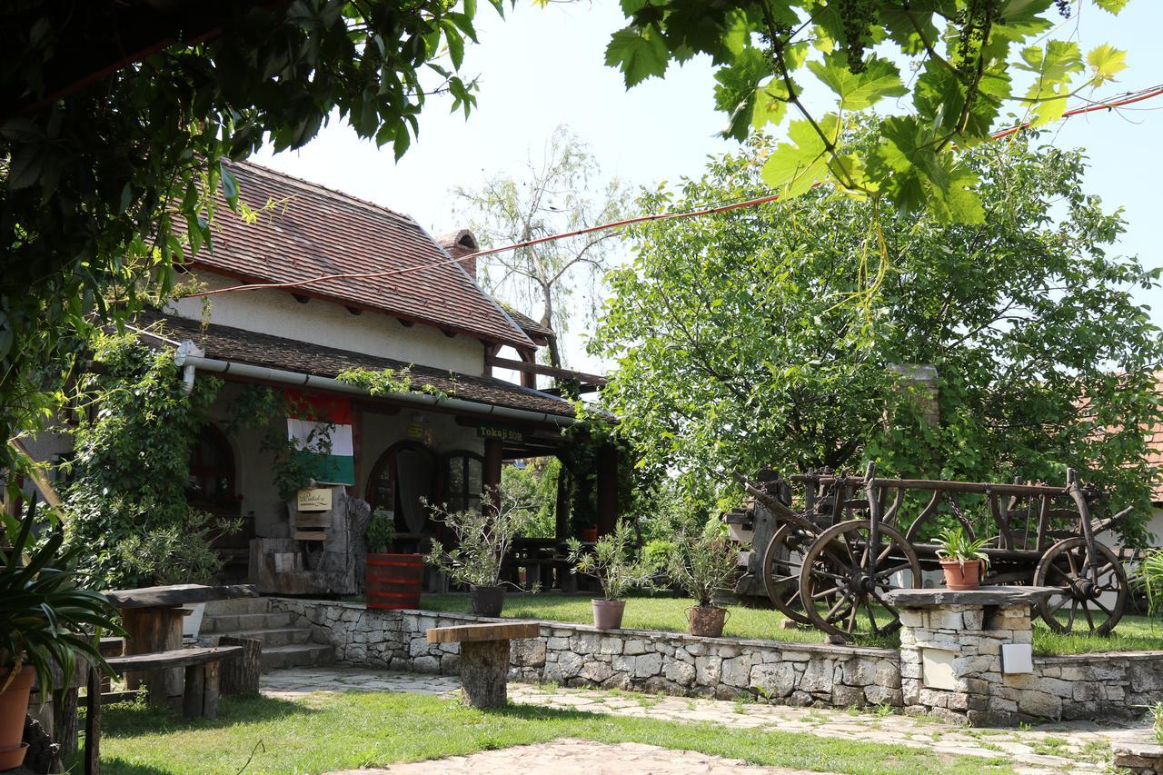 Bed and Breakfast Pataky Borporta Торцол Екстер'єр фото