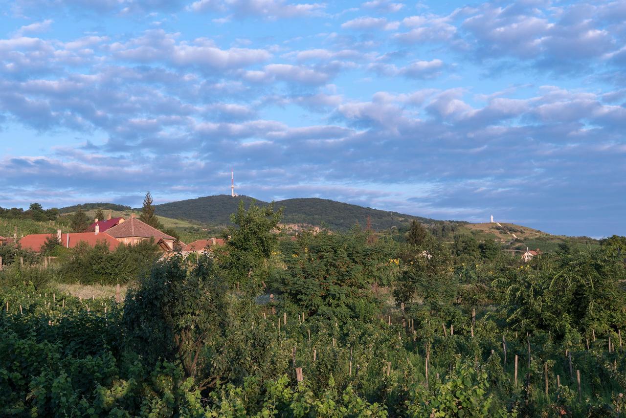 Bed and Breakfast Pataky Borporta Торцол Екстер'єр фото